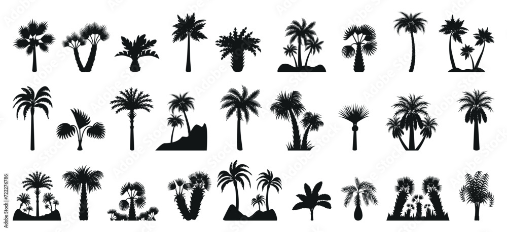 Palm tree silhouettes. Isolated flat exotic trees, palms black silhouette. Abstract botanical elements, decorative tropical plants neoteric vector clipart - obrazy, fototapety, plakaty 