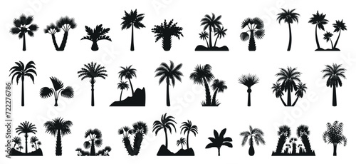Palm tree silhouettes. Isolated flat exotic trees, palms black silhouette. Abstract botanical elements, decorative tropical plants neoteric vector clipart