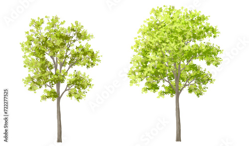 Vector watercolor green tree or forest side view isolated on white background for landscape and architecture drawing,elements for environment or garden,botanical element for exterior section in spring