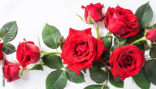 Red roses on white background. Top view. Valentine s Day.