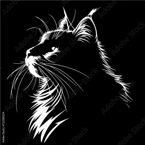 Siberian Cat