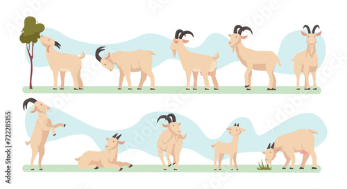 Goats. Farm animals with wool and horns exact vector illustrations of cute goats collection
