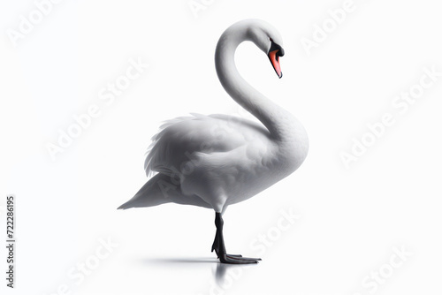 Fototapeta Naklejka Na Ścianę i Meble -  full white swan isolated on a white background. ai generative