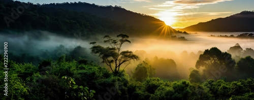 A new day begins as sunbeams pierce the fog, bringing life to a mystical forest scene.