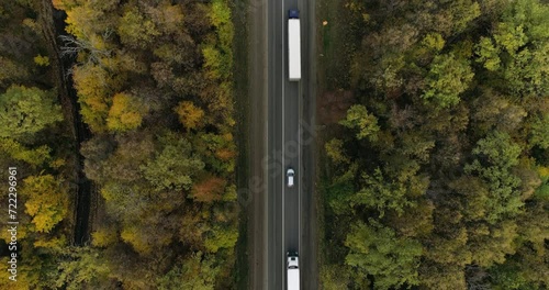 One Semi Truck with white trailer and cab driving, traveling alone on dense flat autumn yellow forest asphalt straight road, highway top down view follow vehicle aerial footage. Freeway trucks traffic