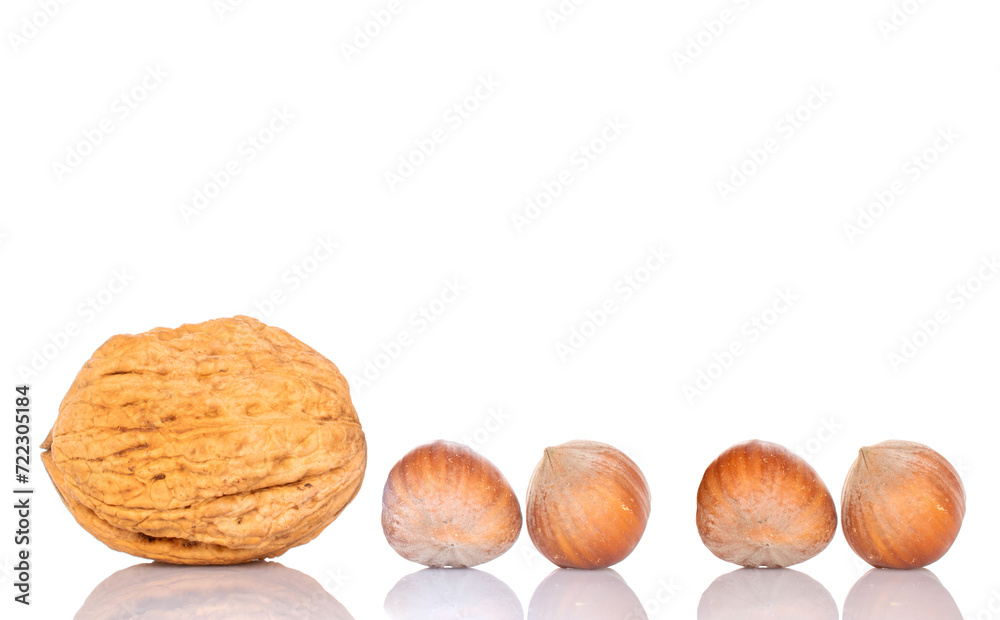 Four hazelnuts and one walnut, macro, isolated on white background. Four hazelnuts and one walnut, macro, isolated on white background.