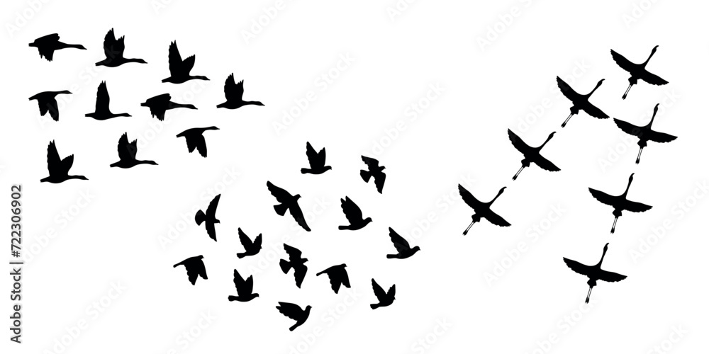 Fototapeta premium Black silhouettes of flying birds on a white background. Three different types of bird groups