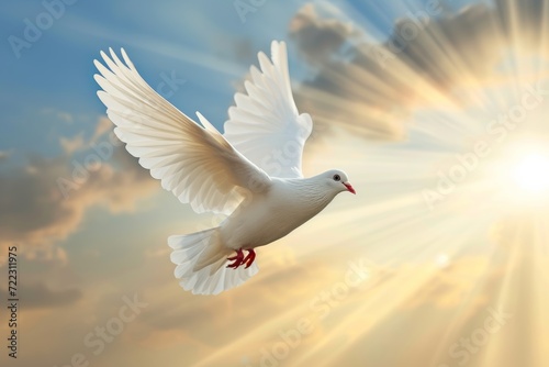 a white dove is flying in the sky in light sun rays