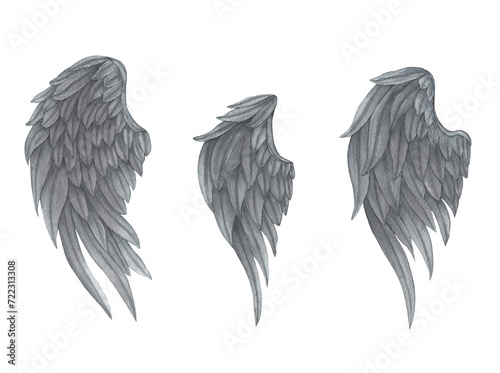 Watercolor grey Angel Wing illustration. Hand painted wing with grey feathers for prints, banners