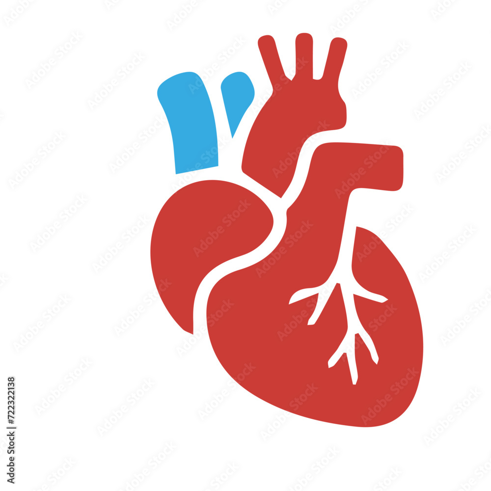 Fototapeta premium Human anatomy internal organ set with brain lung intestine heart kidney liver and stomatch