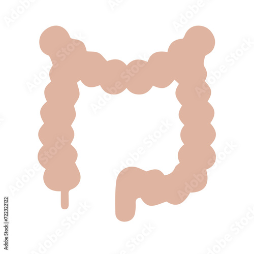 Human anatomy internal organ set with brain lung intestine heart kidney liver and stomatch