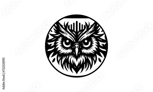 owl mascot logo design vector with modern illustration concept style for badge, emblem and tshirt printing