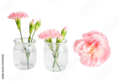 A set of pink flowers in a mini vase and separately. On a blank background