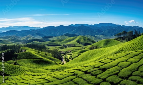 A Serene Landscape of Rolling Green Fields and Majestic Mountains