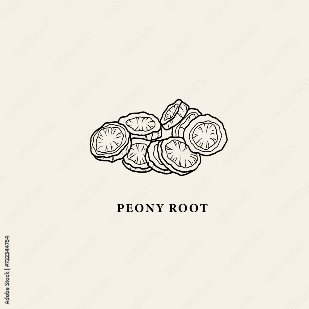 Naklejka premium Line art peony root illustration