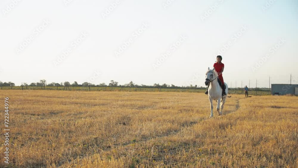 A woman in a red uniform walks on a white horse in a field of hay Moves towards the camera Wide shot A woman in a red uniform walks on a white horse in a field of hay Moves towards the camera Wide shot