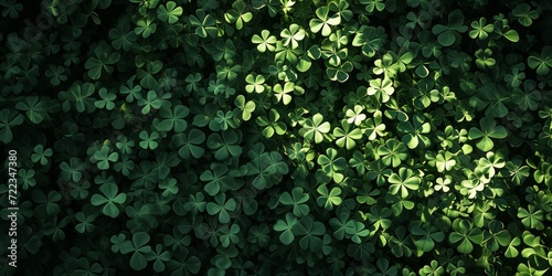 A dense field of clover basking in dappled sunlight, creating a vibrant green background for St. Patrick's Day
