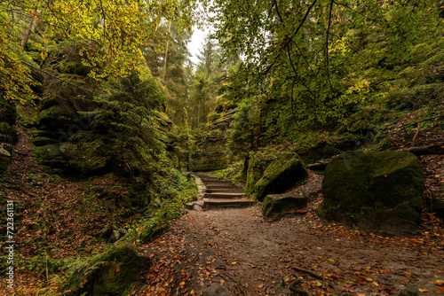 Landscape impression of a hiking path in the saxony swiss, germany, in october, autumn photo