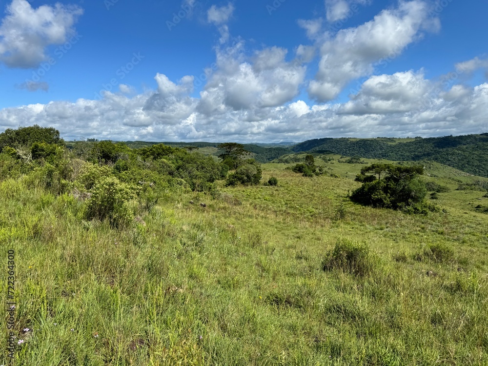 fazenda pecuária