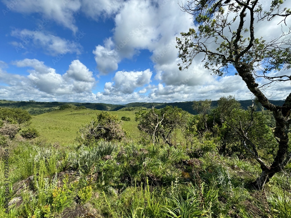 Obraz premium fazenda pecuária