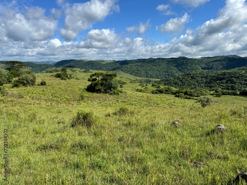 fazenda pecu  ria