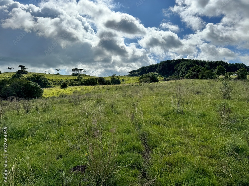 fazenda para pecuária na montanha