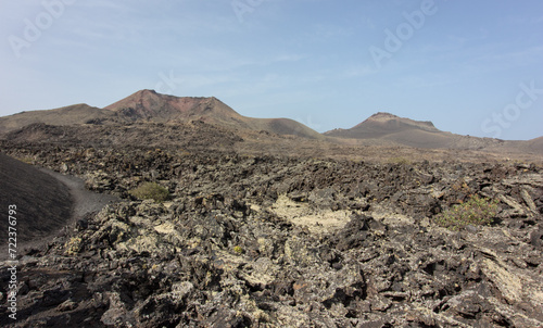Lichen volcanique