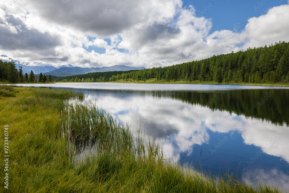 Altai landscapes
