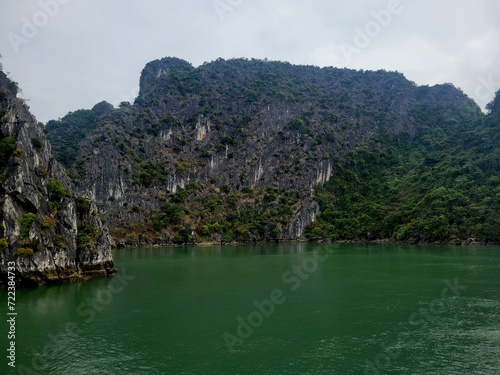 Limestone islet and rock formation at Ha Long Bay Vietnam