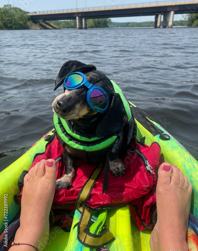 Canine Water Safety II