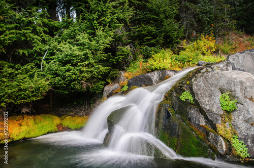 Mt Rainier National Park #15