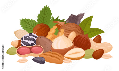 Seeds and nuts handful. Raw nuts bunch, almond, peanut, cashew and walnut mix, organic vegetarian nuts mix flat vector illustration on white