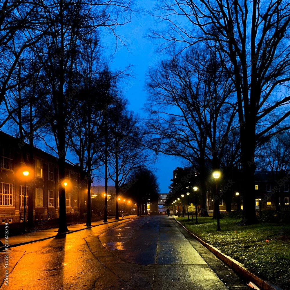 Tree-lined street with lanterns at night 