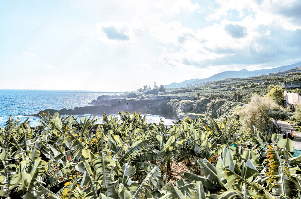 La Palma, Spain- December 26, 2023: Streetscapes and rustic scenery in the town of San Andres on the island of La Palma in Spain's Canary Islands
La Palma, Spain- December 26, 2023: Streetscapes and rustic scenery in the town of San Andres on the island of La Palma in Spain's Canary Islands