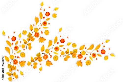 Autumn natural composition of branches  leaves and flowers.