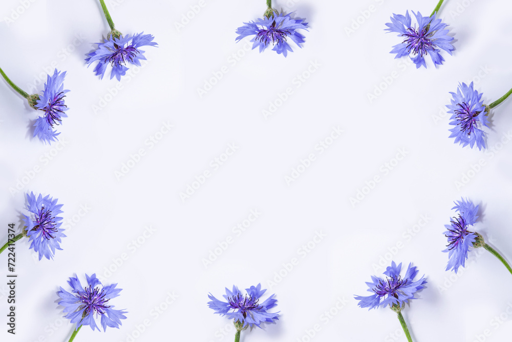soft focus. Natural floral background. Spring branch of blossoming cornflower flowers.