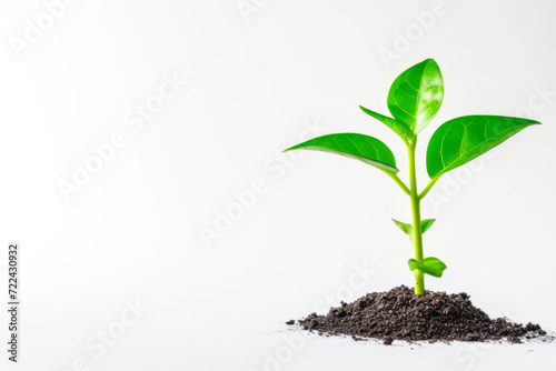 Illustration on a plant sprouting from the ground, sustainable development, ecology, symbol © Robert