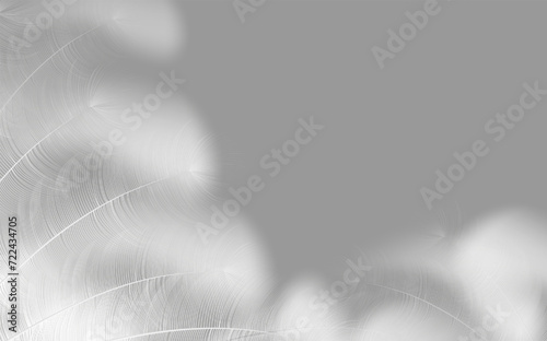  Background of flying realistic vector  goose or swan white feathers.Ecological feather filler for pillows, blankets or jackets.Vector concept design.