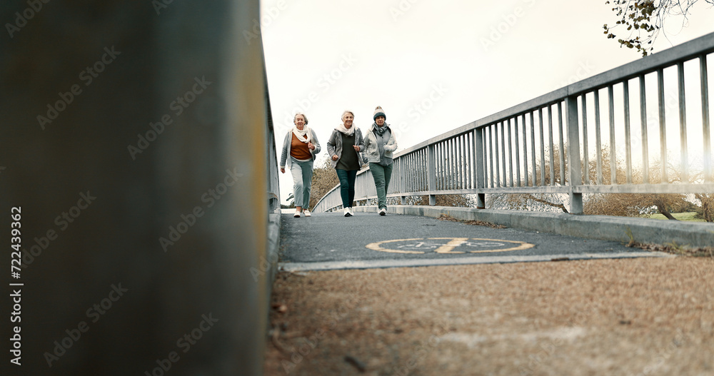 Senior women group, bridge and fitness with power walk, jog or training together for health in retirement. Elderly lady team, light running and moving for exercise, outdoor workout or support in park Senior women group, bridge and fitness with power walk, jog or training together for health in retirement. Elderly lady team, light running and moving for exercise, outdoor workout or support in park