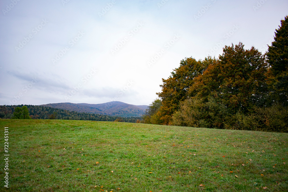 Fototapeta premium green meadow with trees and mountains in the background