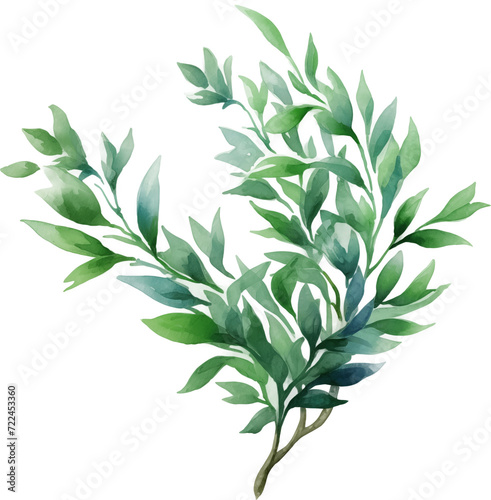 Watercolor PNG Illustration of a Tree Plant Bush (ID: 722453360)