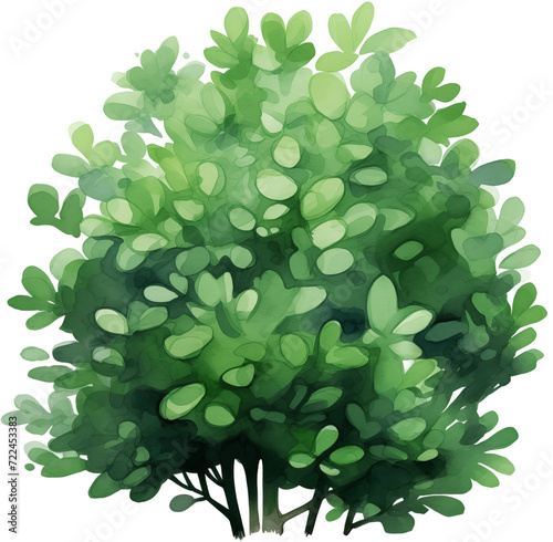 Watercolor PNG Illustration of a Tree Plant Bush (ID: 722453383)