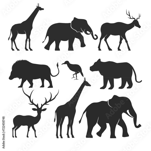 Collection of animal silhouette  zoo african animals.