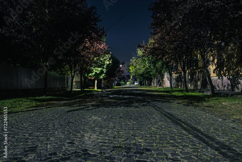 Fototapeta Naklejka Na Ścianę i Meble -  Night cobbled street in a small town in summer in summer. Night road made of stone with green trees and lanterns. A small European town with private houses. Mukachevo. Ukraine