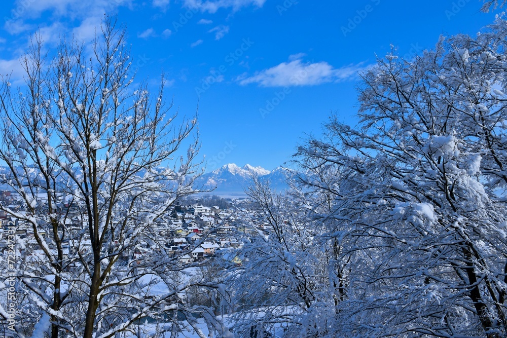 View of Skuta and Grintovec mountains and snow covered trees with buildings in Škofja Loka in Gorenjska, Slovenia View of Skuta and Grintovec mountains and snow covered trees with buildings in Škofja Loka in Gorenjska, Slovenia