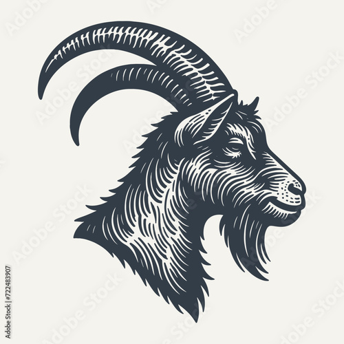 Goat Head. Vintage woodcut engraving style vector illustration.