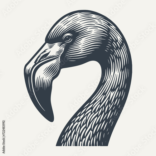 Flamingo Head. 