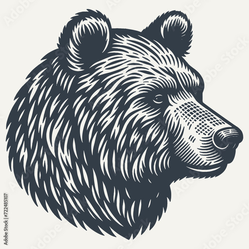 Bear Head. Vintage woodcut engraving style vector illustration.