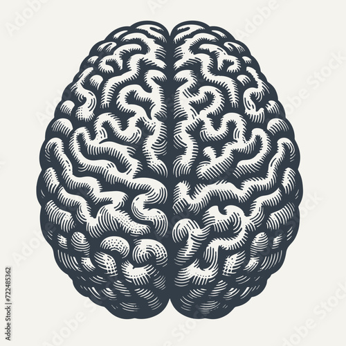 Human Brain. Vintage woodcut engraving style vector illustration. photo