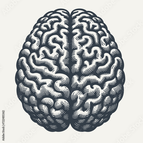 Human Brain. Vintage woodcut engraving style vector illustration.